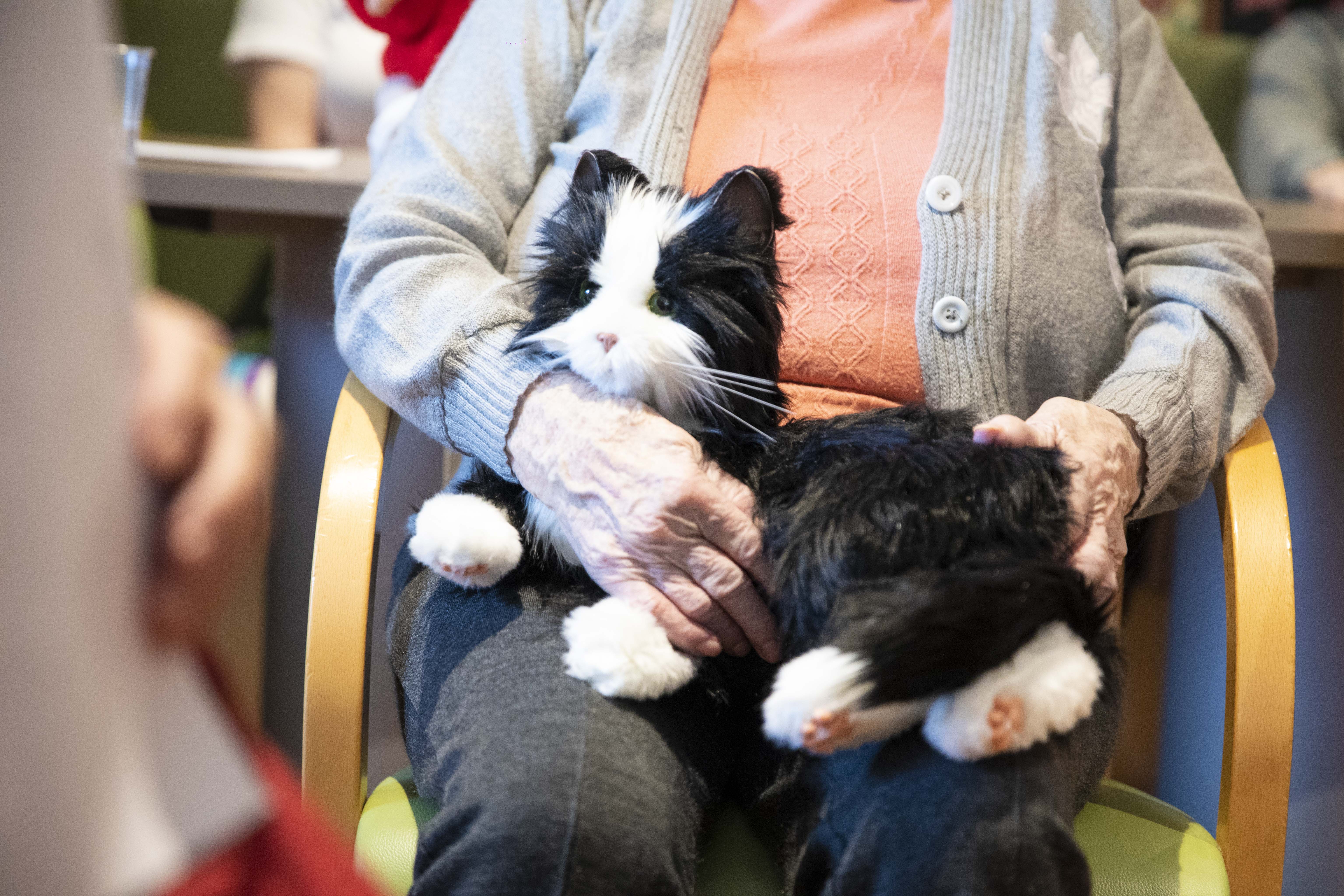 Gospa v naročju drži terapevtsko mačko.