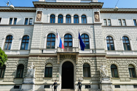 V počastitev dneva priključitve prekmurskih Slovencev k matičnemu narodu pred osrednjim vhodom v Predsedniško palačo stoji častna straža Garde Slovenske vojske.