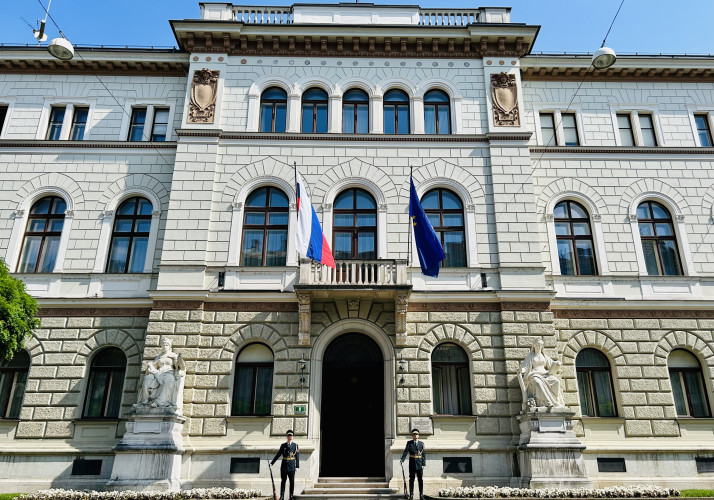 V počastitev dneva priključitve prekmurskih Slovencev k matičnemu narodu pred osrednjim vhodom v Predsedniško palačo stoji častna straža Garde Slovenske vojske.