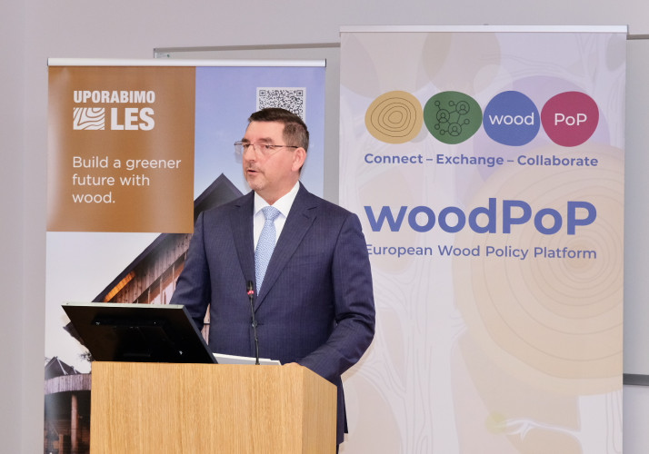 4th WoodPop meeting Alen Ježovnik 2