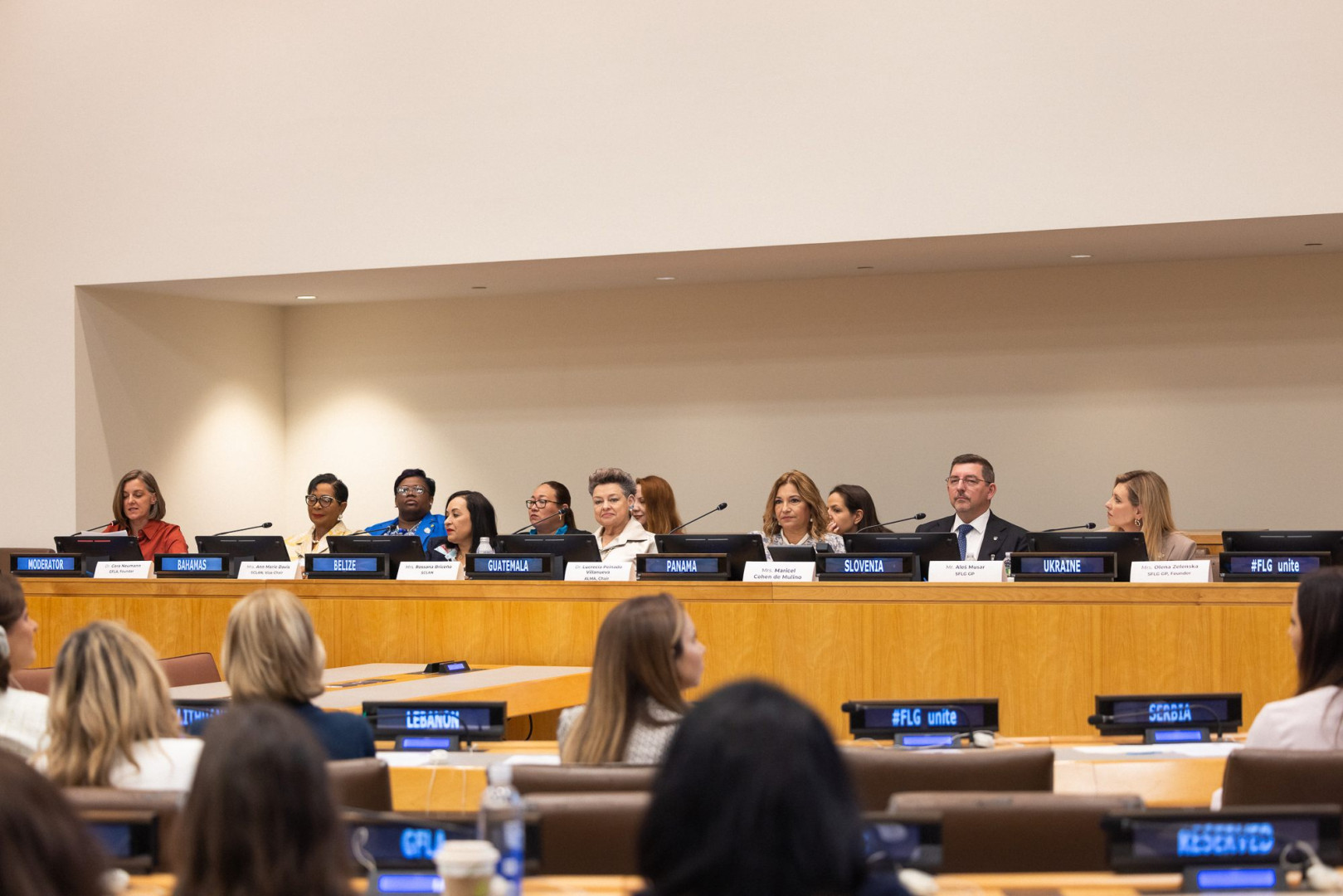 Dr. Musar za omizjem na zasedanju v prostorih OZN.